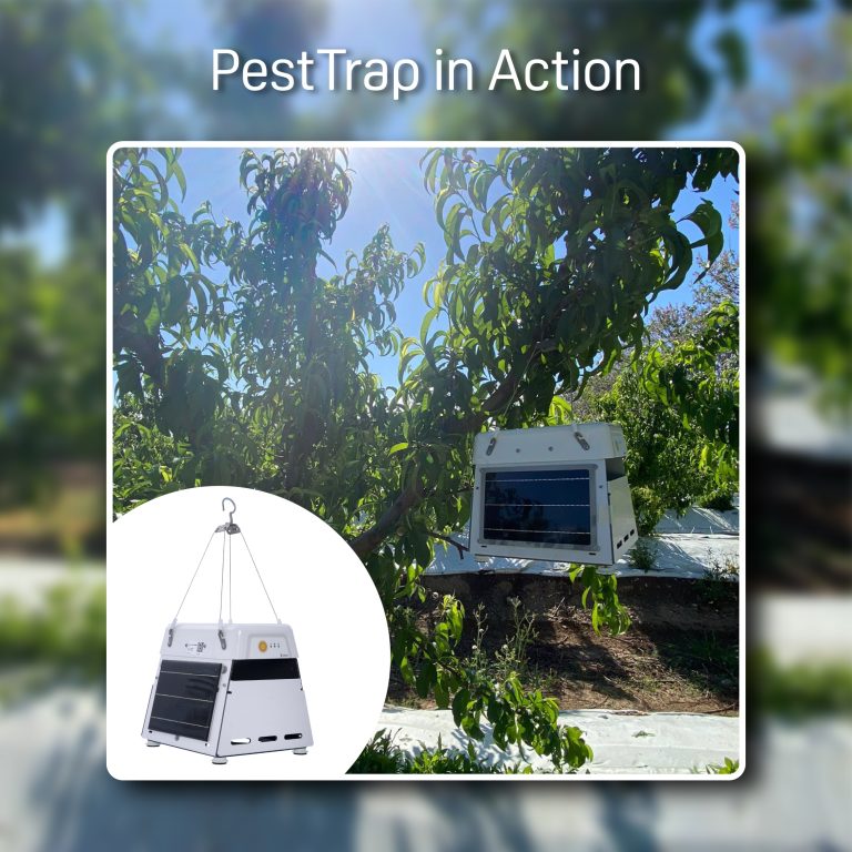 pesttrap_anadolu-etap